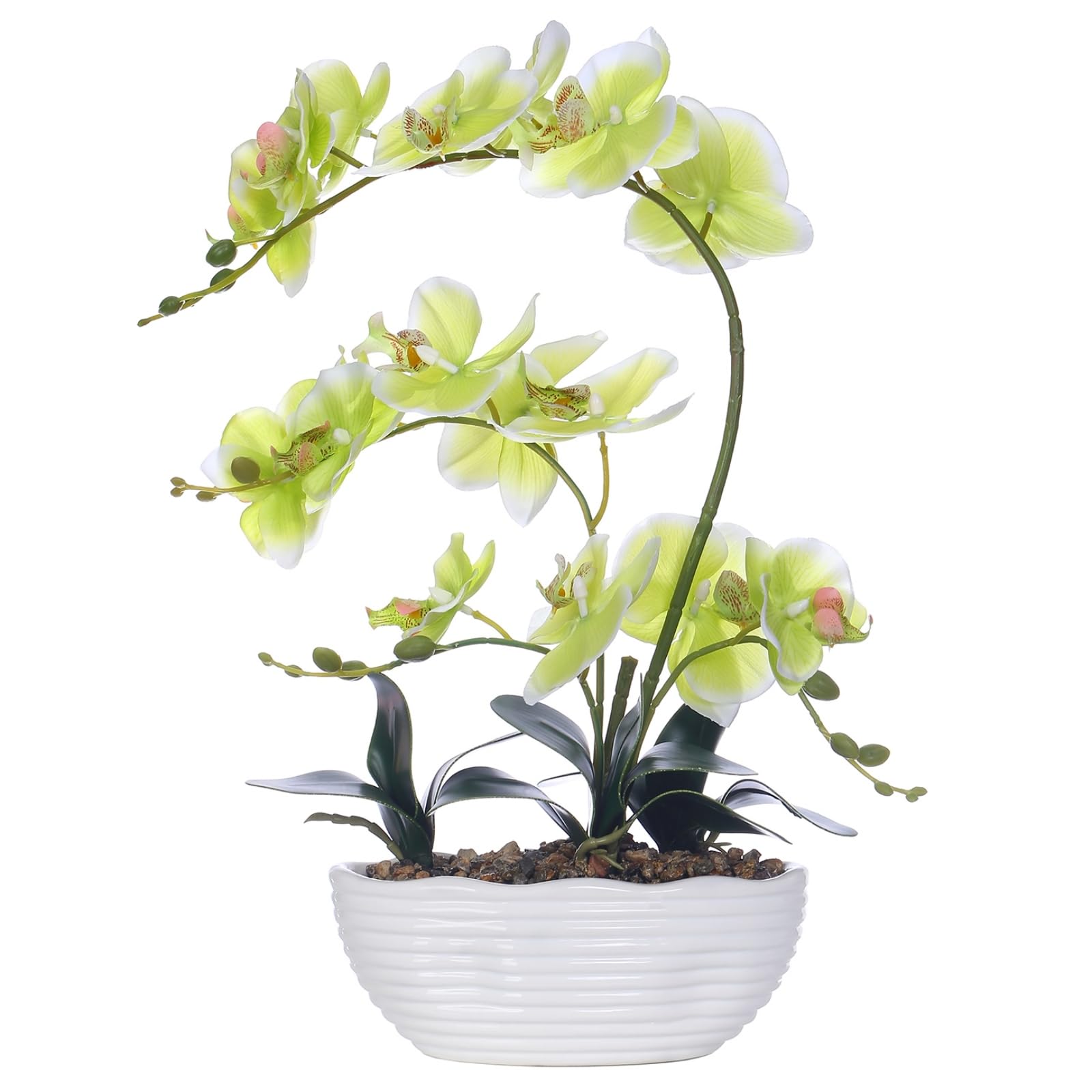 Photo 1 of GreenHouzz 19" H Phalaenopsis Faux Orchid Plant Silk Orchid Centerpiece Artificial Floral Arrangement in Ceramic Pot (Apple Green)
