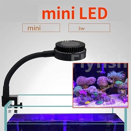 recommended cage size for 2 guinea pigs