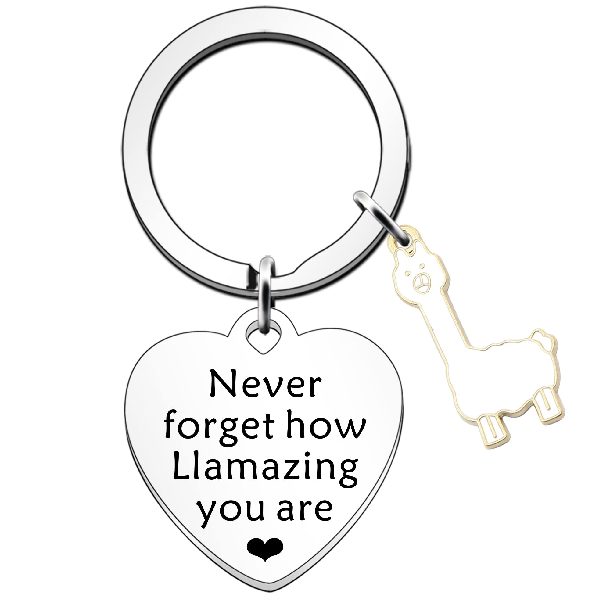 SDOFY Llama Gifts: Alpaca & Llama Keyrings for Women & Girls - Birthday & Christmas Gifts - Never Forget How Llamazing You Are