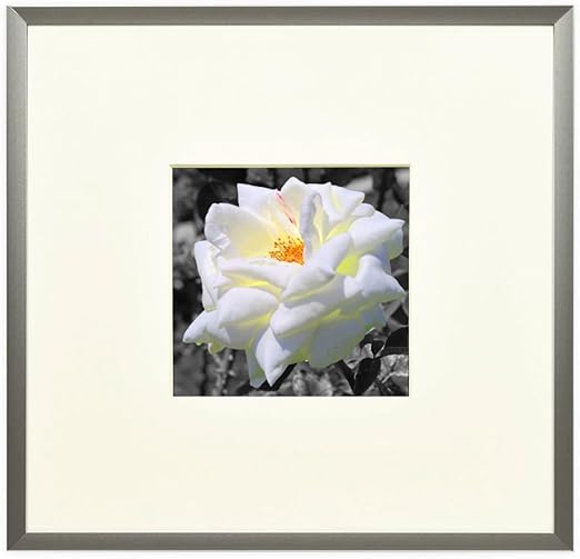 Amazon Com Frametory 8x8 Matte Silver Essential Modern Metallic