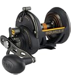 PENN Squall II Lever Drag Fishing Reel, Size 25, Graphite Body and Sideplates, Stainless Steel Main and Pinion Gears, Powerful PENN Dura-Drag : Sports & Outdoors