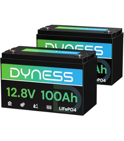 Amazon.com: 3 Pack 12V 100Ah LiFePO4 Lithium Battery with 100A BMS