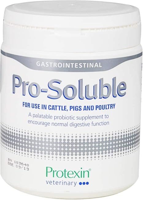 Protexin Companion Animal Pro La Slich Fa R Perros 150 G Un Articulo Amazon Es Productos Para Mascotas Protexin Companion Animal Pro La Slich Fa R Perros 150 G Un Articulo Amazon Es Productos Para Mascotas