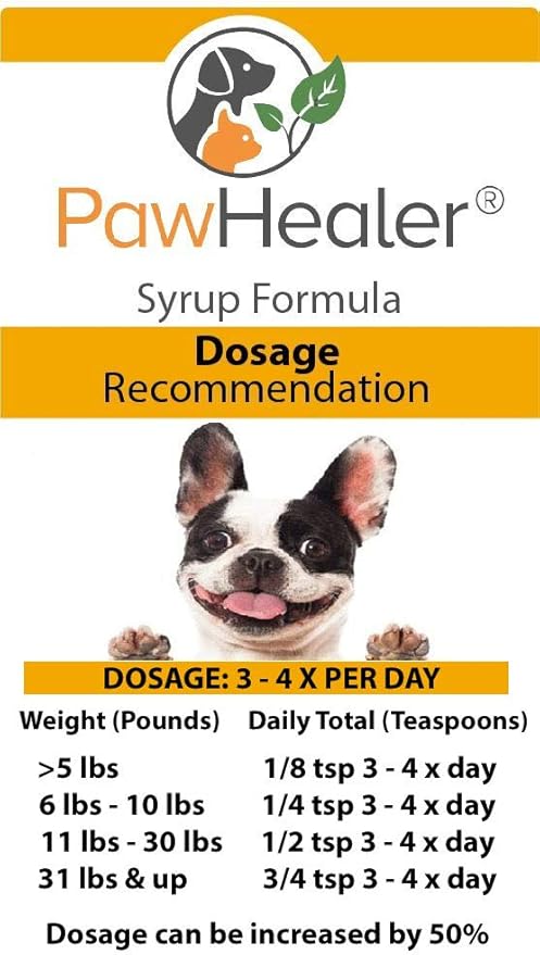 honey for coughing dog