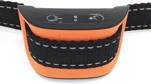 shock collar beeping noise