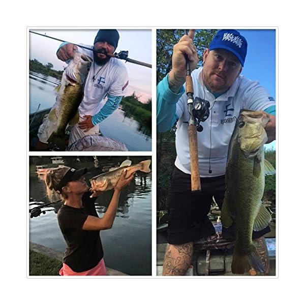 KastKing-Royale-Legend-Baitcasting-Fishing-Reel-Perfect-Baitcasting-Reel-11-1-Shielded-Bearings-175-Lb-Carbon-Fiber-Drag-701-Gear-Ratio