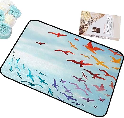 Amazon 屋外のドアマット鳥 晴れた空晴れた日の陽気な現代美術 きれいに簡単な赤青に対して飛ぶ鳥のカラフルなイラスト 75x45cm 玄関マット オンライン通販