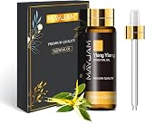 MAYJAM Ylang Ylang Essential Oil 10ML Pure Undiluted with Glass Dropper