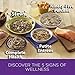 Wellness 95% Lamb Natural Wet Grain Free Canned Dog Food, 13.2-Ounce Can (Pack of 12)
