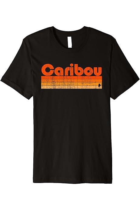 Amazon.com: Chagrin Falls, Ohio Retro 80s Style Premium T-Shirt 