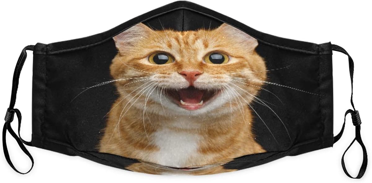 Animal Cute Cat Lovely Mouth Mask Reusable Face Mask Anti