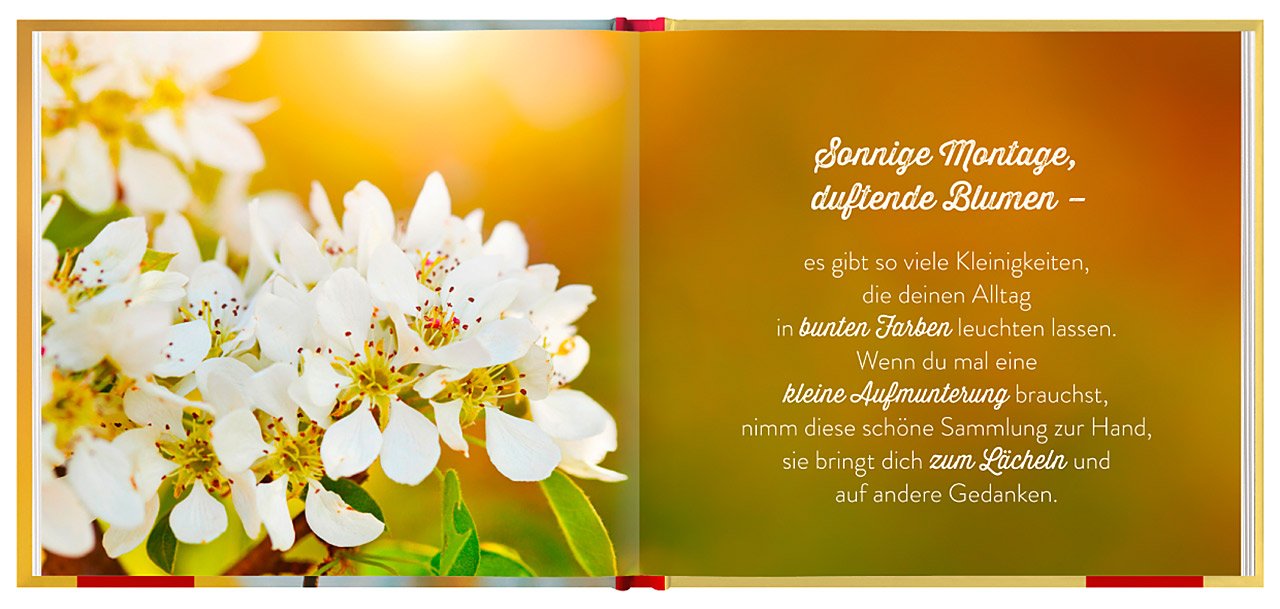 Get Ein kleines laecheln sprueche Free