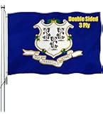 Amazon.com : XIFAN Double Sided Connecticut State Flag 3x5 ft
