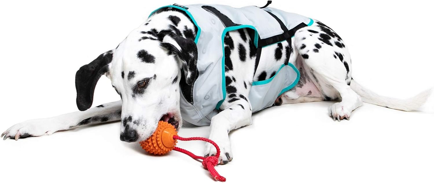 Suitical DRY Cooling Vest Dog, Large, Silver - Image 4