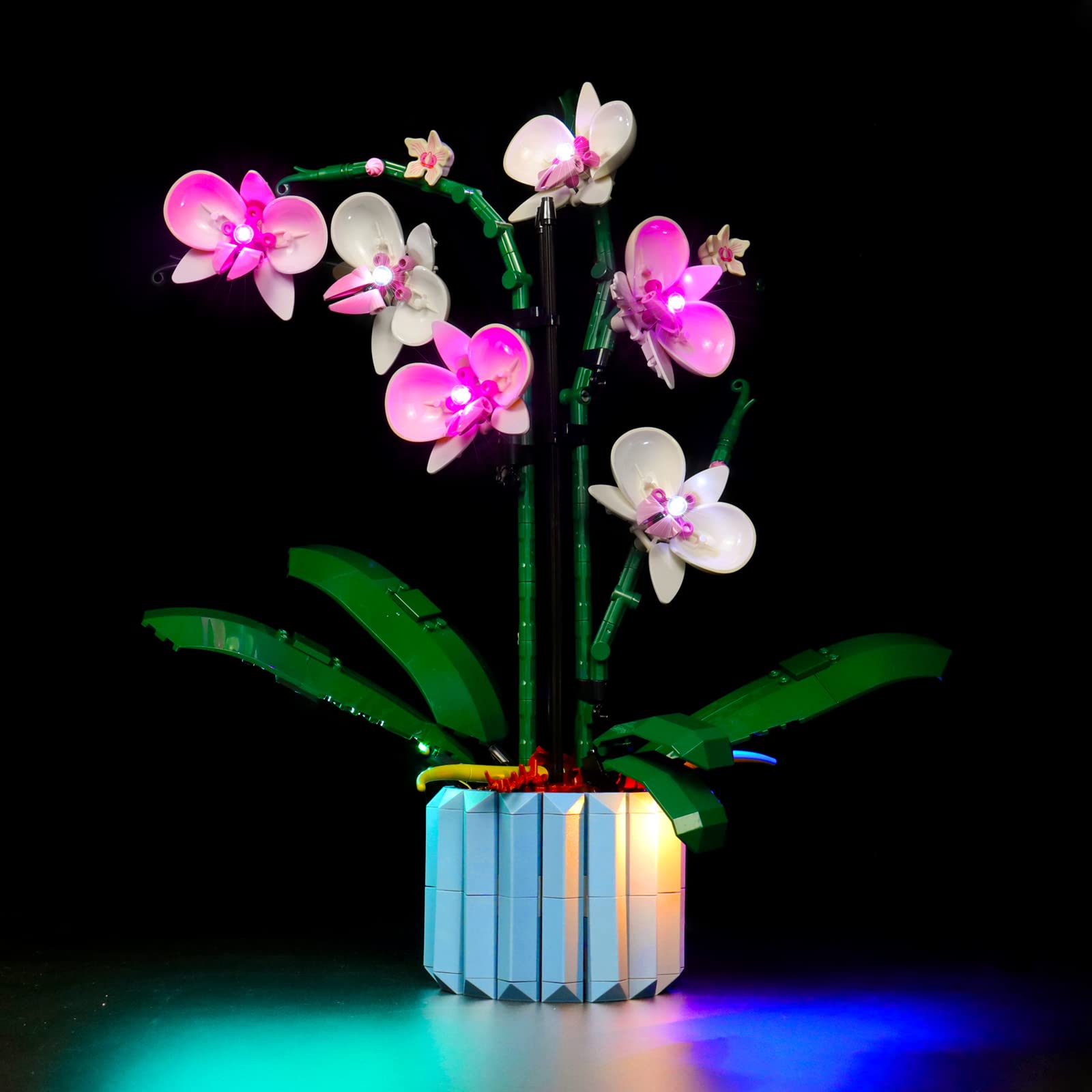 Led Light Set for Lego Orchid Botanical Collection - Not Include Lego Models, Just Light Kit (Standard Version)