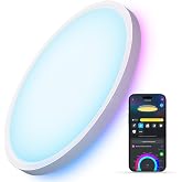 Govee Smart Ceiling Light, RGBIC 2400LM 2700K-6500K 12 Inch 1 Pack White | RGBIC LED Flush Ceiling Light Fixture, 2400LM DIY Colors, Works with Matter Alexa for Bedroom, Living Room