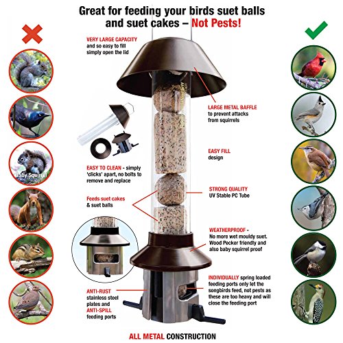 Roamwild Pestoff Squirrel Proof All Metal Double Suet Cake Block
