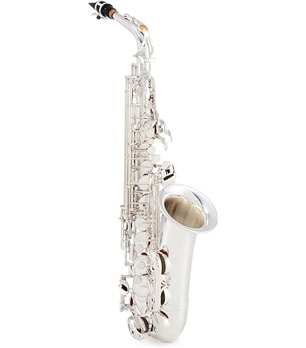 Amazon.com: Yamaha YAS82ZII Custom Z Professional Alto Saxophone