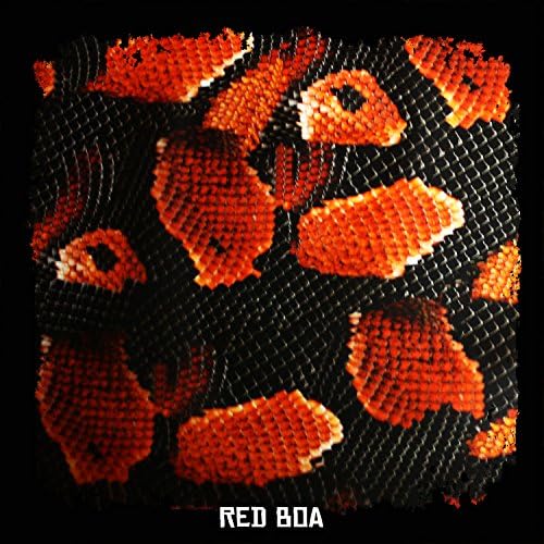 Hydrographics Film - Red Boa Snake Skin - 10ft Film Roll