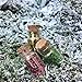 Wonky Hill Miniature Fairy Garden Collection Xmas Santa Set