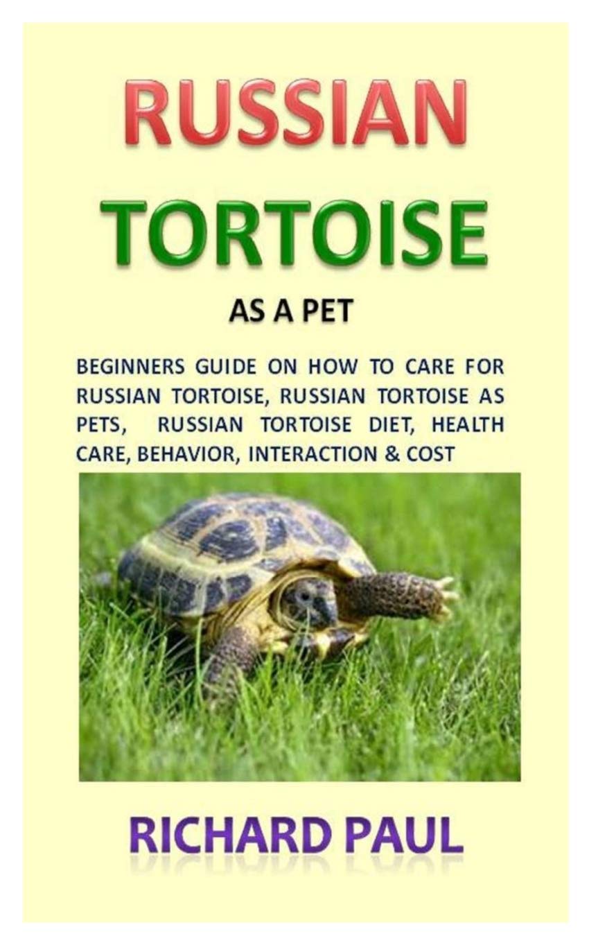 buy russian tortoise