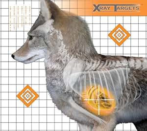 Amazon.com : Champion Coyote 18.75x18.75-Inch Xray Paper Target (Pack ...