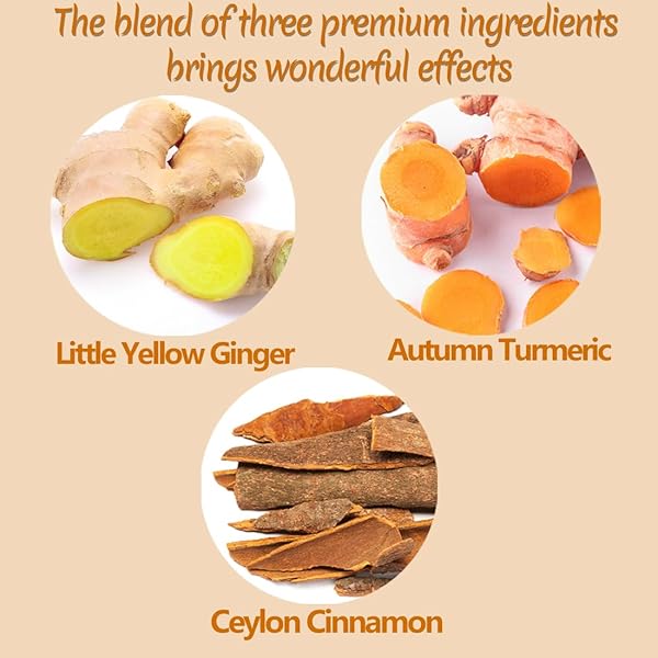 120 PREMIUM TURMERIC, GINGER, CINNAMON BLEND TEA BAGS, 100% NATURAL & NO ADDITIVES & CAFFEINE FREE.