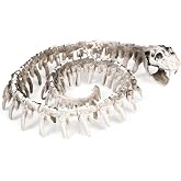 Suzile Halloween Skeleton Animals Skeleton Decorations with Posable Joints Plastic Bones for Halloween Party Photo Prop Decoration, Graveyard Spooky Decor Indoor Outdoor Scene Party(Snake)