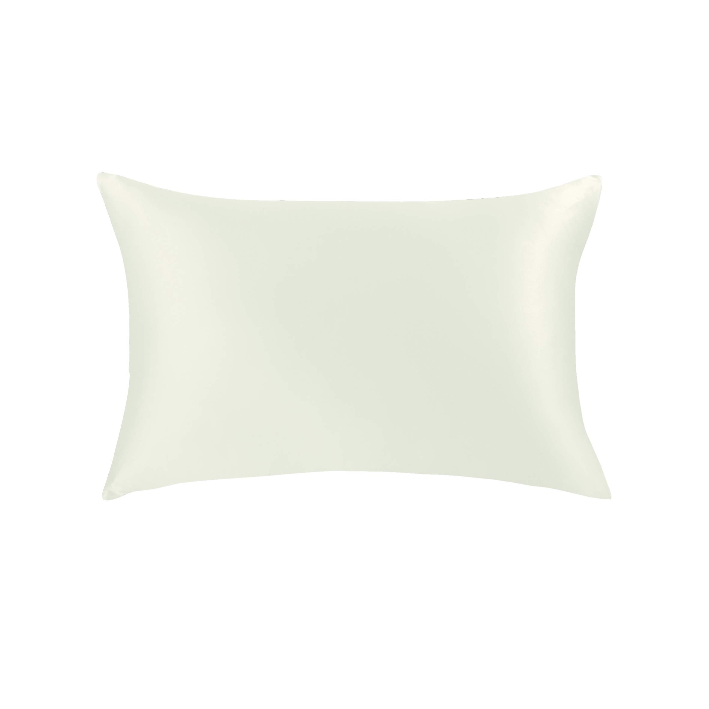 Jasmine Silk 100 19 Momme Mulberry Charmeuse Silk Pillowcase 50 cm x
