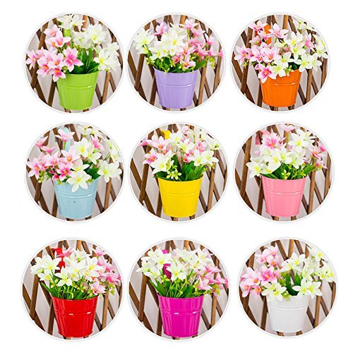 Blumentopf zum Hängen, sortiert 10 PCS, bunt, abnehmbaren Blumentopf aus Metall Hängen auf Balkon Wand Garten Home Decor