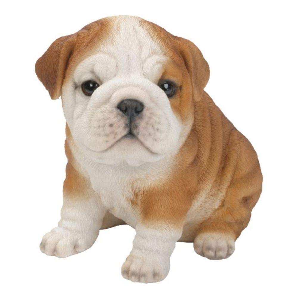 Vivid Arts 19cm Bulldog Puppy Pet Pals Resin Ornament - PP-BDOG-F