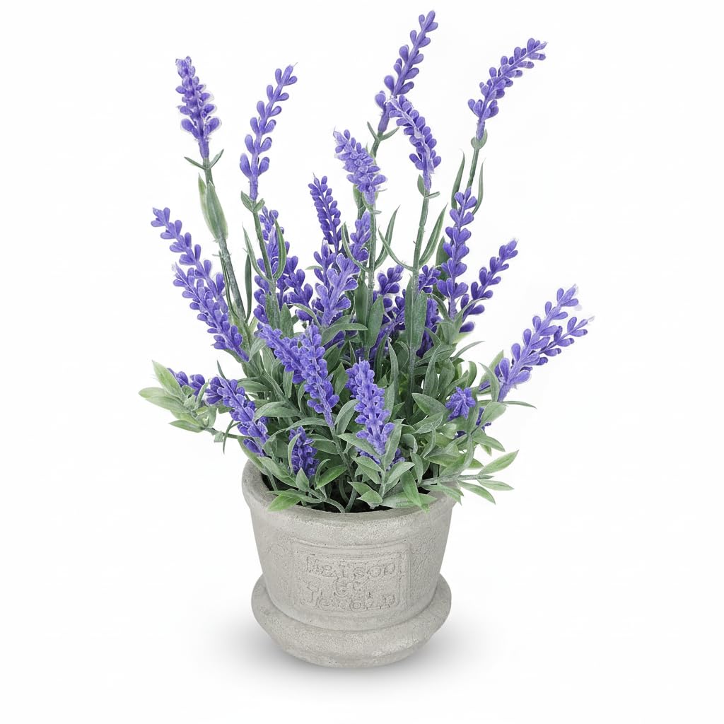 Veemoon 22cm Artificial Lavender Potted Plant Realistic Faux Purple Flower for Farmhouse Decor Rustic Decorative Plastic Greenery in Pot Kitchen Bathroom Office Desktop Ornament