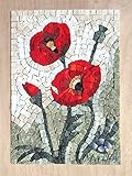 MOSAIC ART KIT DIY WILDFLOWERS POPPIES 9
