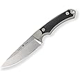 Buck Knives 663 Alpha Guide Select Fixed Blade Hunting Knife with 420HC Steel, Gray