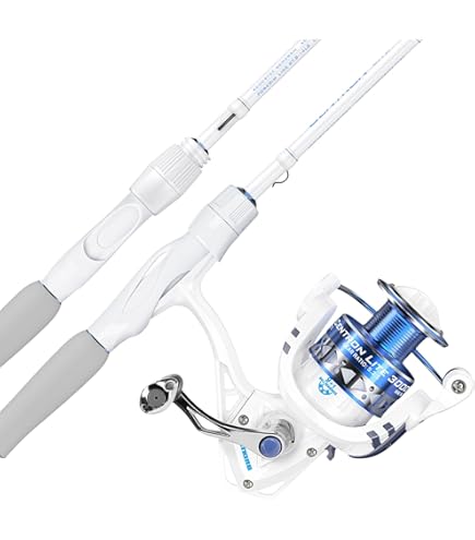 Moulinet daiwa revros 19 lt 5000 cxh (rapide) | Pacific Pêche