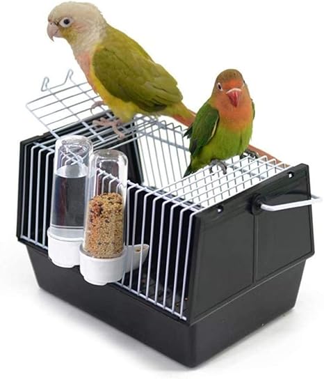 budgie travel carrier