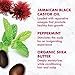 Shea Moisture Jamaican Black Castor Oil Strengthen & Restore Treatment Masque 12 Oz, Pack of 2
