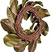 American Best Christmas Quality Magnolia Leaf Grapevine Wreath 16