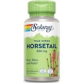 Solaray Horsetail 880 mg, Hair Skin and Nails, 100 Vegan Capsules | Horsetail Supplement with Natural Silica, Aerial Horse Tail Grass Capsules, Herb Vitamins for Overall Health Support