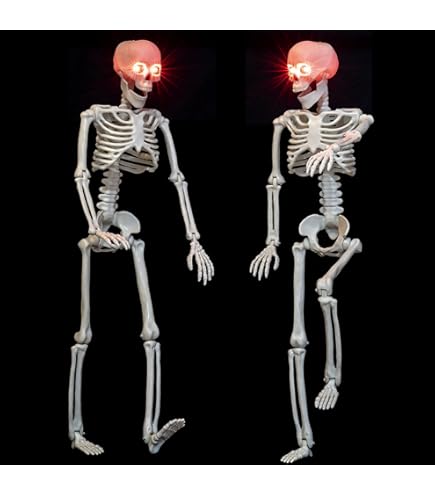 Amazon.com: Crazy Bonez Poseable Skeleton Decoration, 24