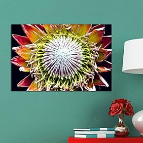 Canvas Wall Art - Closeup of Succulent Plant Petal - Giclee Print Gallery Wrap Modern Home Art Ready to Hang - 12" x 18"