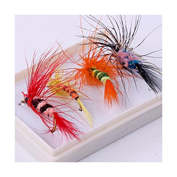 Sougayilang-Colorful-Assortment-Dry-Fly-Fishing-Flies