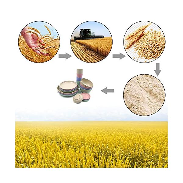 24Pieces Wheat Straw Dinnerware Set, Lightweight Plates Bowls Cups Dishes Set, Unbreakable Tableware Set for Picnic Party BBQ Camping (24pcs)