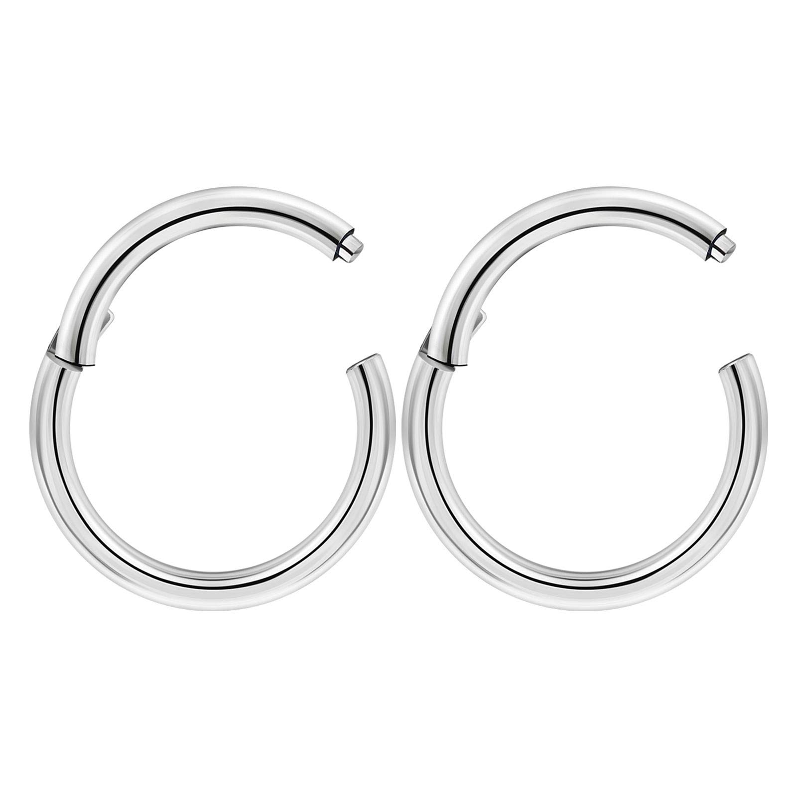 2pcs Surgical Steel High Polished Hinged Segment Ring Nose Hoop 14 Gauge 3/8 10mm Earrings Cartilage Piercing Jewellery 3452