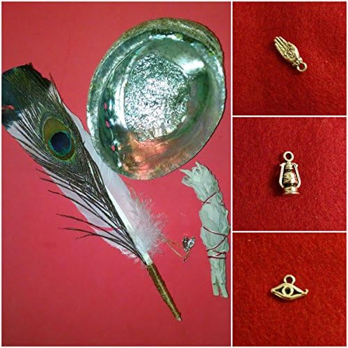 Smudging Kit Includes Abalone Shell, Authentic Feather Wand, Tibetan Charms, Organic Sage Torch