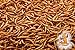 5Lb Chubby Dried Mealworms High Protein Treat for Chickens, Ducks & Birds