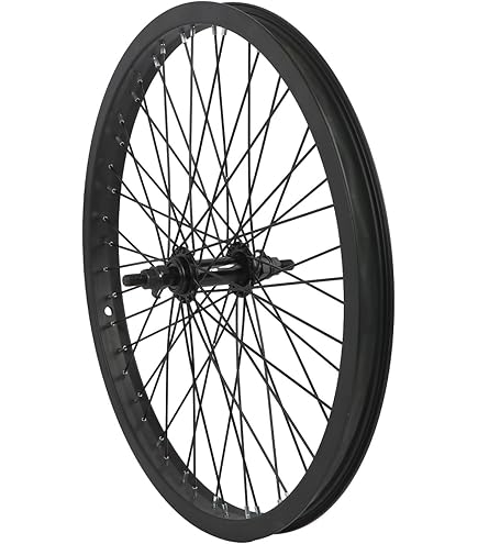 Amazon.com : Wheel Master Rear Bicycle Wheel 20 x 1.75 36H, Alloy