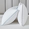 Flanhorest Bed Pillows for Sleeping - Pillows Queen Size Set of 2 Cooling Luxury Hotel Quality Pillow with Premium Plush Soft Down Alternative Fill for Side Back or Stomach Sleepers (Queen(Pack of 2))