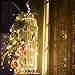 LOENDE 33ft 100 Led String Lights Dimmable, Cooper Wire Starry String Lights with Remote Control for Bedroom, Restaurant, Bars, Frames, Holiday, Party, Wedding Decorations (Warm White)