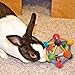 Ware Atomic Ball Wood Chew Toy for Small Animals - Large